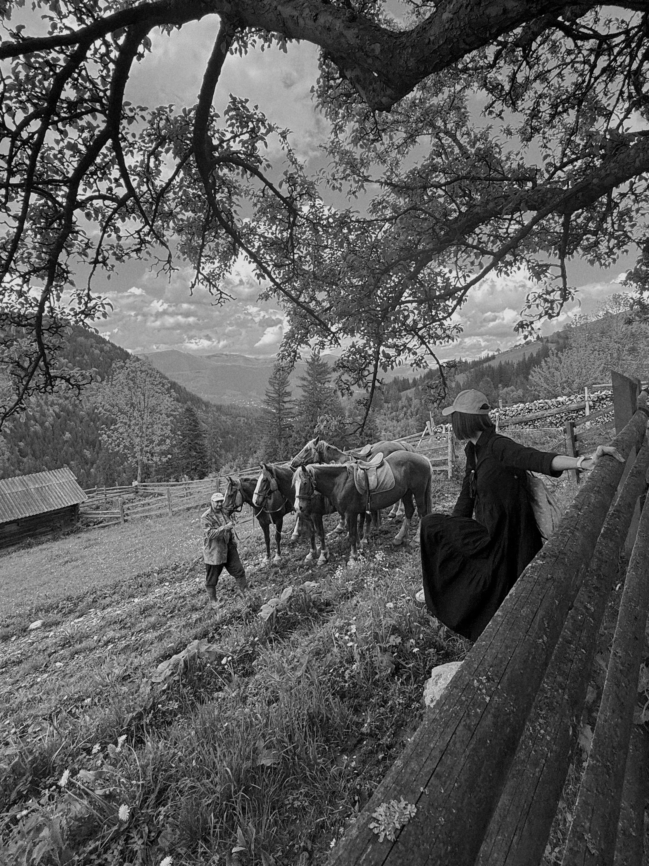 Sophia on a fence watching horses in the Carpathian highlands