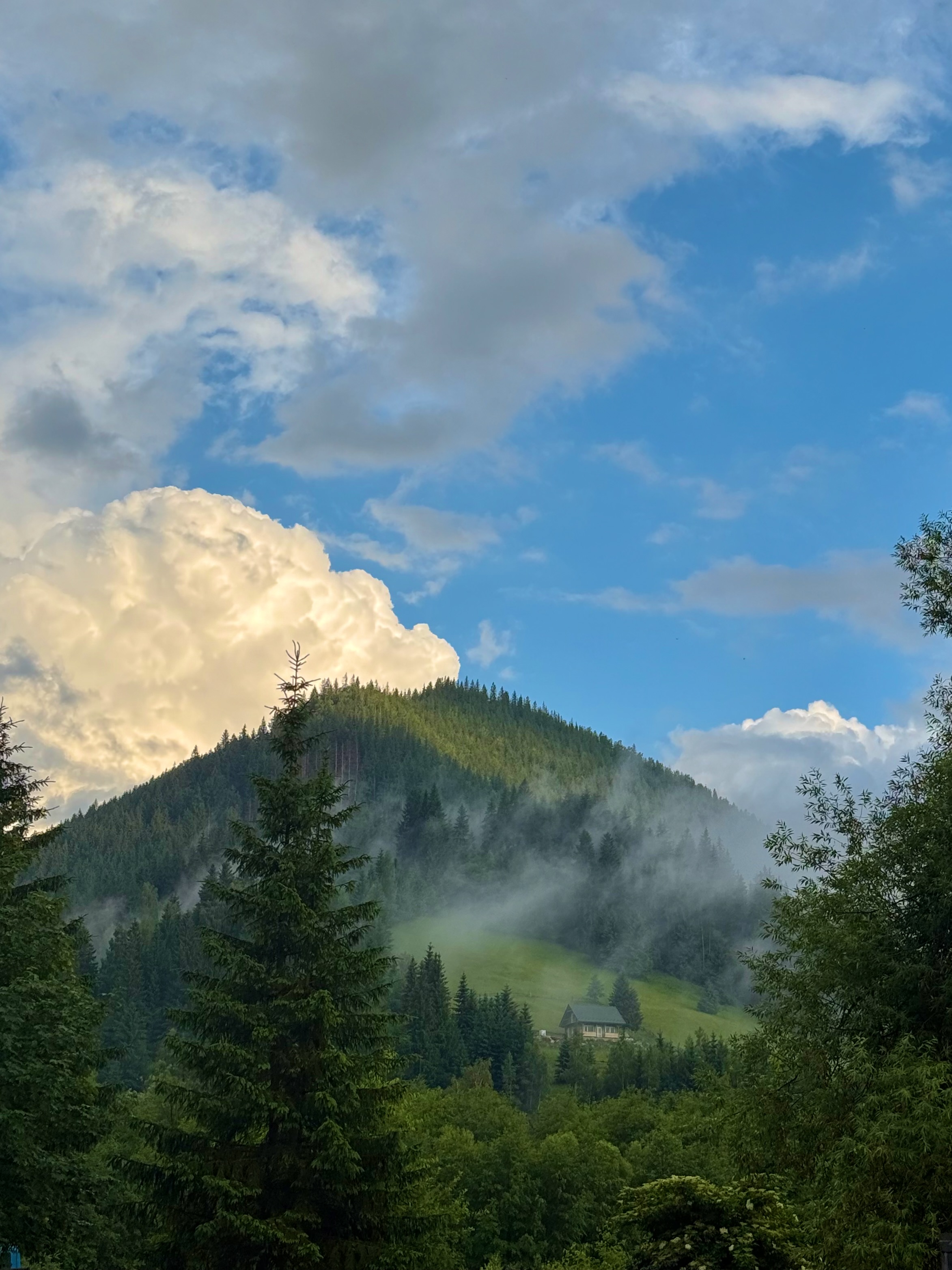 Misty Carpathian mountain with lone house on the hillside