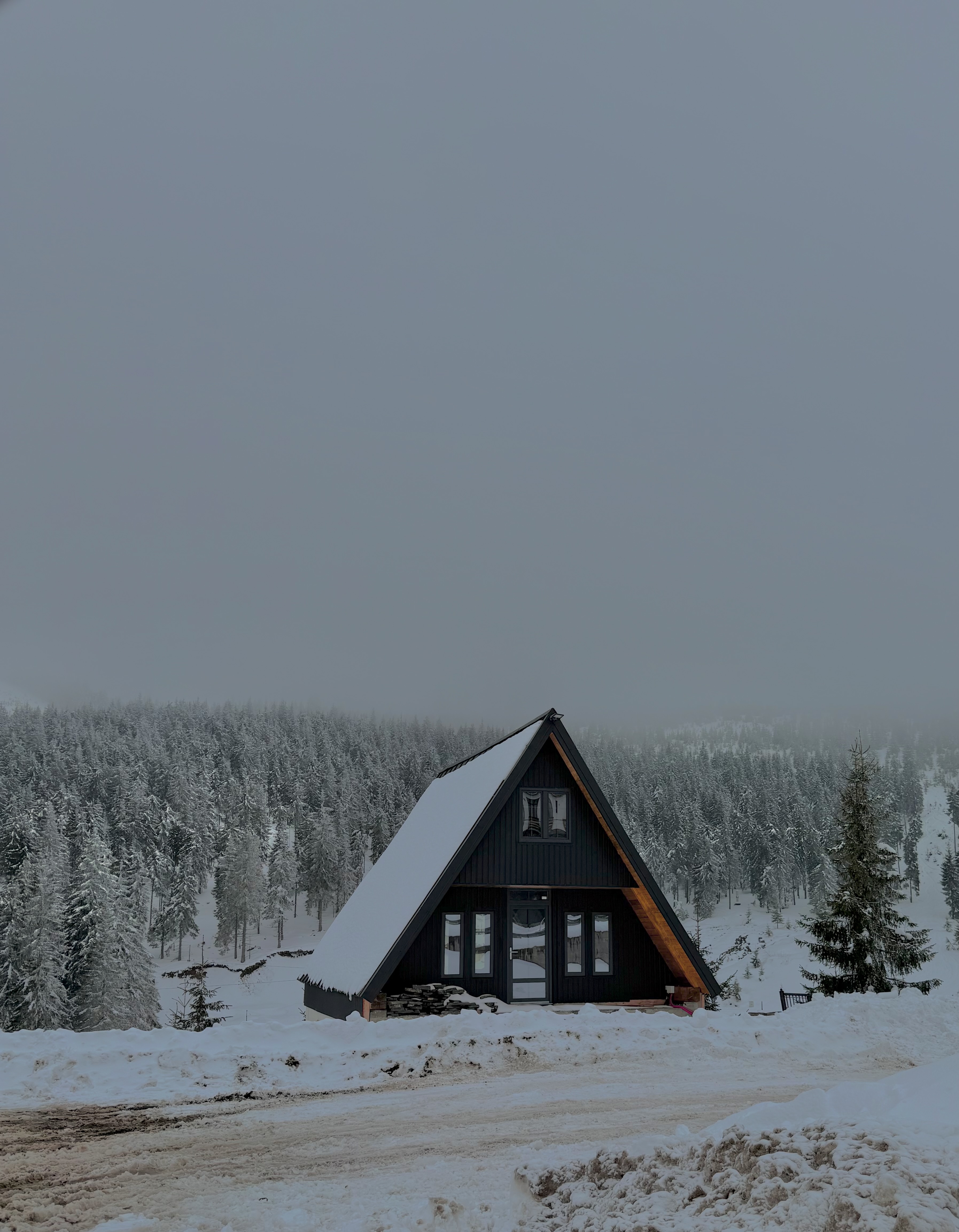 A-frame cabin nestled in snow-covered Carpathian forest, frosted evergreens disappearing into fog
