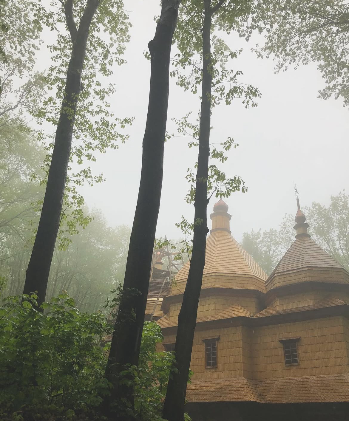 Wooden Carpathian church emerging through mist and forest
